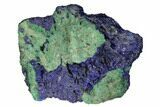 Vivid Blue, Cut/Polished Azurite & Malachite Nodule - Siberia #175542-1